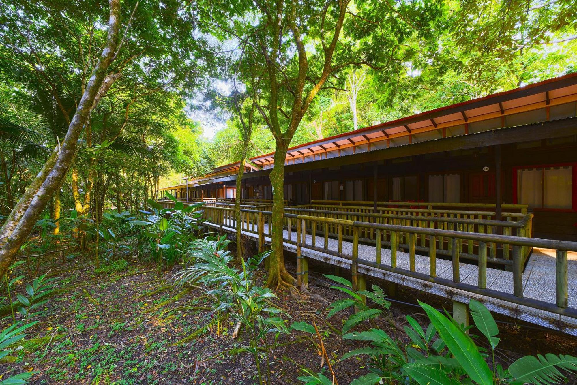 Evergreen Lodge Tortuguero Exteriér fotografie