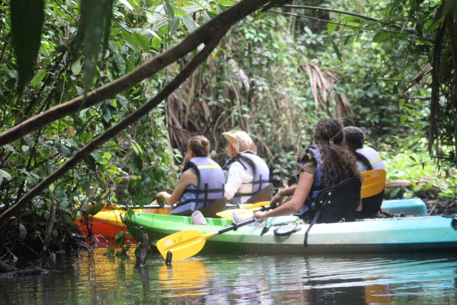 Evergreen Lodge Tortuguero Exteriér fotografie