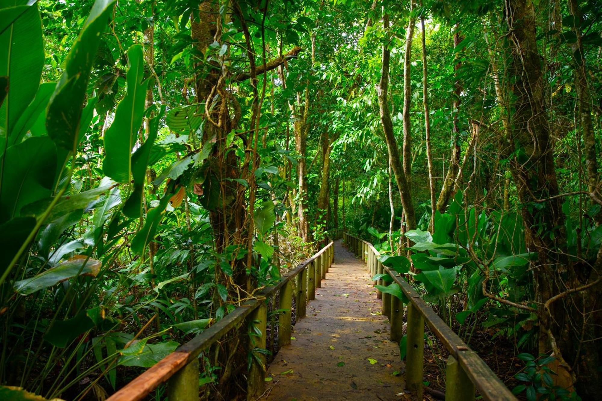 Evergreen Lodge Tortuguero Exteriér fotografie